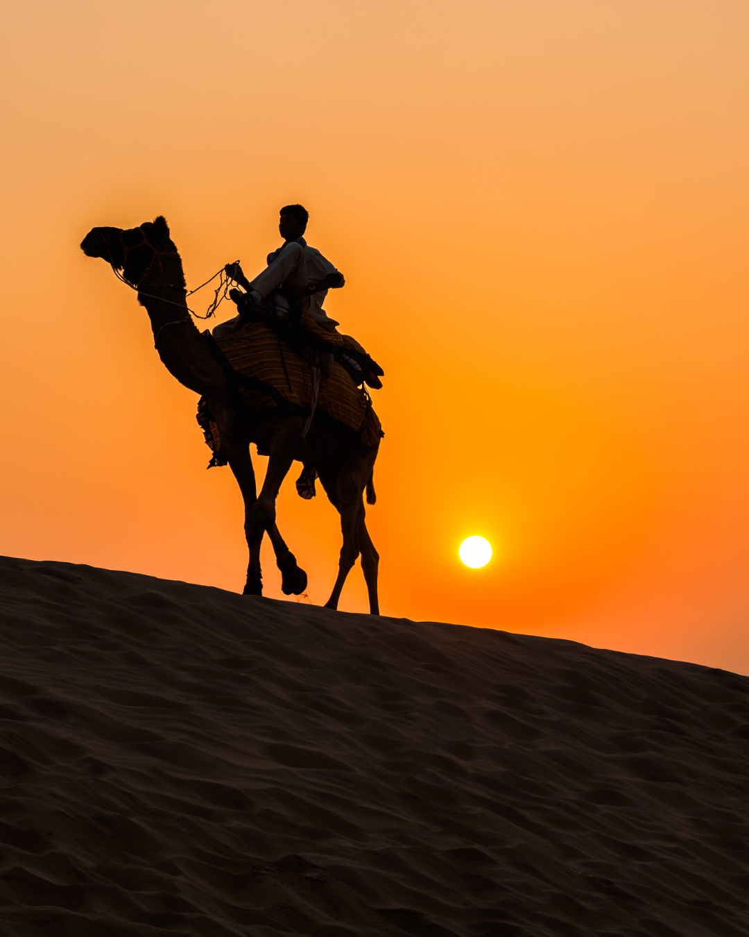 Desert Safari