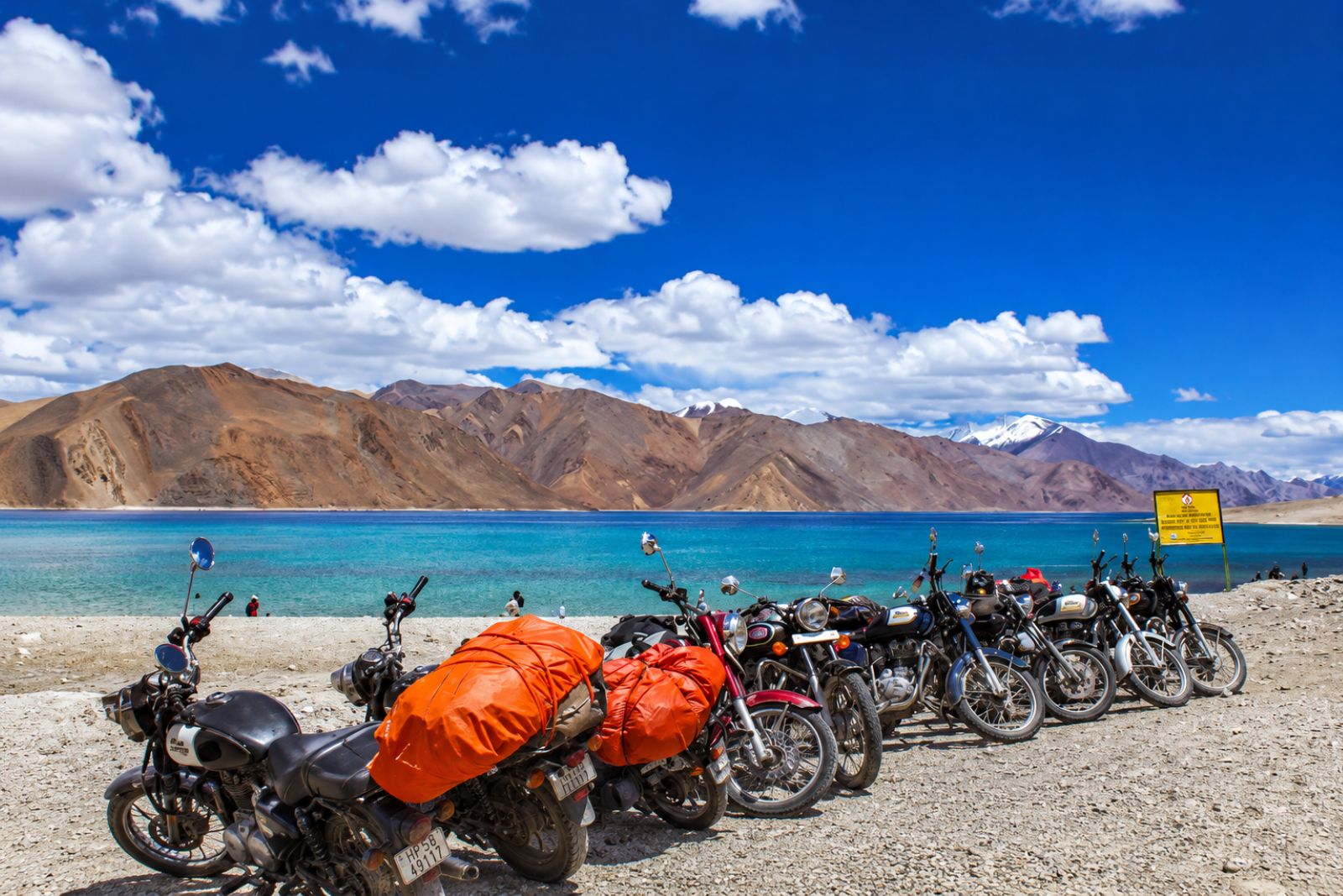 Experience the Wild Beauty of Ladakh 