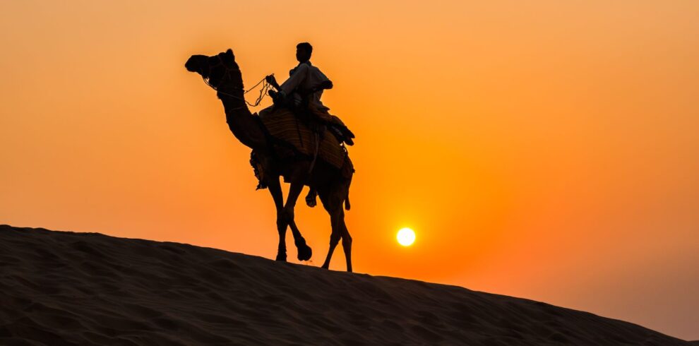 Untitled design – 2025-11-03T110011.641